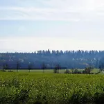 酒店 Restaurant Sonnenschein Pfalzgrafenweiler