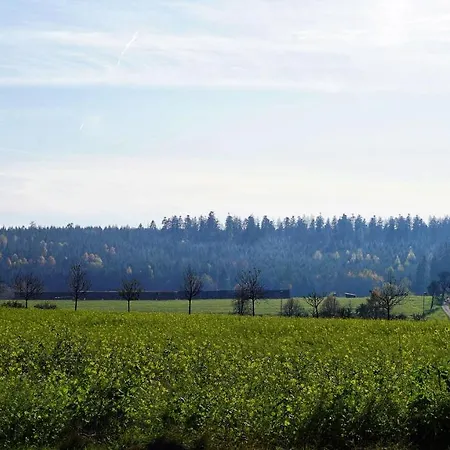 Hotel Sonnenschein Pfalzgrafenweiler